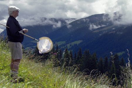Film Schmetterlingsjaeger 37 Karteikarten zu Nabokov auf Wiese