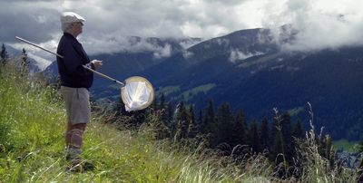 Film Schmetterlingsjaeger 37 Karteikarten zu Nabokov auf Wiese