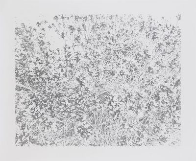 Evelina Cajacob Carla Guagliardi ausstellung in der galerie m bochum