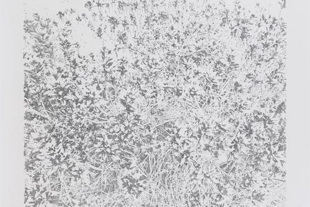 Evelina Cajacob Carla Guagliardi ausstellung in der galerie m bochum
