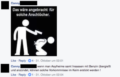 Betroffene Online-Angebote. Mit der Zunahme von Fluechtlingen in Europa entstand auch eine Welle von Hass-Kommunikation im Netz