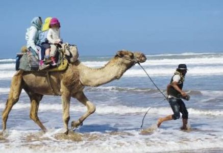 In Marokko erwartet Hauser-Gaeste eine besondere Safari – auf Kamelen erwandern Familien die Altantikkueste