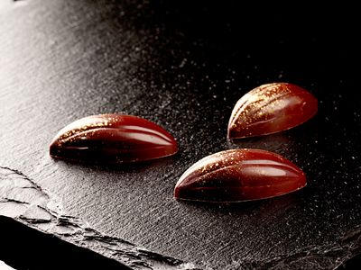 Ein tolles Angebot der Messemacher. Die CHOC bietet Kurse für Experten der Branche, Schokoladen-Workshops, Konferenzen und Diskussionen mit der Beteiligung von renommierten Chocolatiers und Feinbaeckern