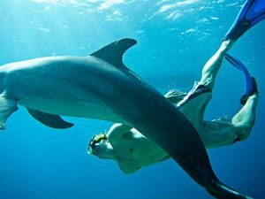 Unterwasser- und Natur-Experte Mayrond van Lamoen bei der Arbeit