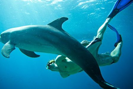 Unterwasser- und Natur-Experte Mayrond van Lamoen bei der Arbeit