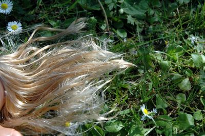 Tod einer Barbie von Eva Horstick Schmitt