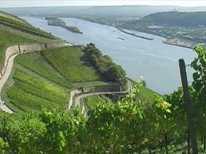 Im Rheingau hat der Weinbau eine lange Familientradition
