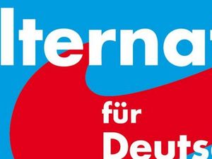 Die AfD waere ein Sammelbecken fuer Rassisten, die auf Minderheitenrechte pfeifen und die Stimmung im Land gezielt vergiften, so die Meinung der meisten Medien und Politiker Die AfD waere ein Sammelbecken fuer Rassisten, die auf Minderheitenrechte pfeifen und die Stimmung im Land gezielt vergiften, so die Meinung der meisten Medien und Politiker