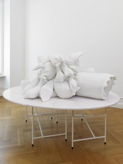 Werk von Cosima von Bonin
