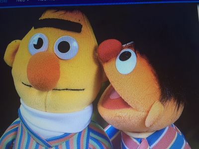 Ernie und Bert, die Sesamstrassen Kerle sind doch nicht schwul