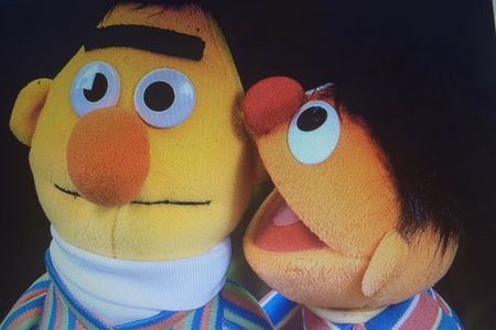 Ernie und Bert, die Sesamstrassen Kerle sind doch nicht schwul