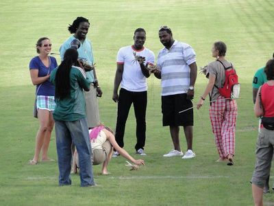 Reisen Tobago Krabbenrennen