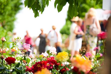 Rosensorten im Rosarium des niederoesterreichischen Kaiserhauses Baden