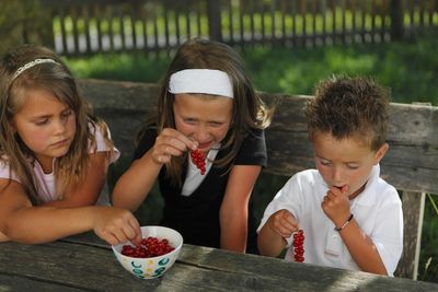 Essen und Trinken Roter Hahn Kinder essen Johannisbeeren