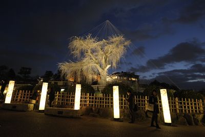 Reisen Hanatouro Kyoto Baum Reisen Hanatouro Kyoto Baum