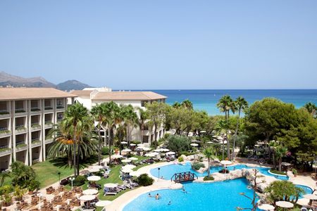 Reisen Vogelbeobachtung Mallorca