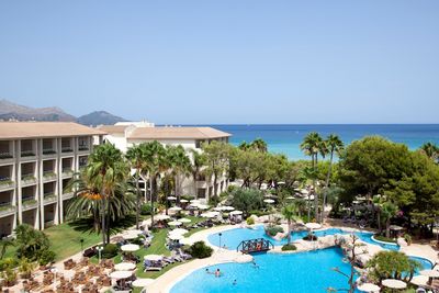 Reisen Vogelbeobachtung Mallorca