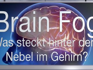 Zu den Symptomen zählen Müdigkeit, Stimmungsschwankungen, Kopfschmerzen, Angstzustände und Konzentrationsstörungen Zu den Symptomen zählen Müdigkeit, Stimmungsschwankungen, Kopfschmerzen, Angstzustände und Konzentrationsstörungen