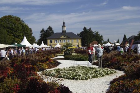 Reisen Bad Rappenau Besucher