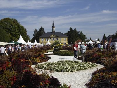 Reisen Bad Rappenau Besucher