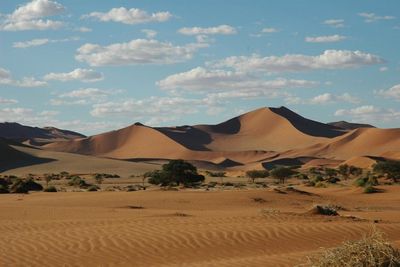 Namibia Sandduenen von Sossusvlei Namibia Sandduenen von Sossusvlei