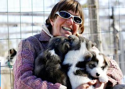 Im schwedischen Lappland spielen und knuddeln Hauser-Reisende mit den Huskys