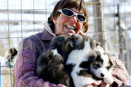 Im schwedischen Lappland spielen und knuddeln Hauser-Reisende mit den Huskys