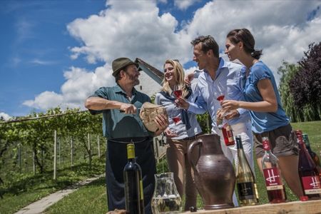 Weinregion Stegersbach im Suedburgenland