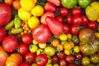 Tomaten