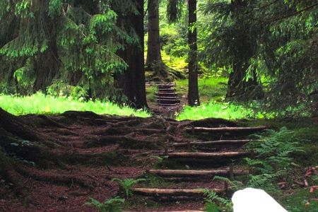 Reisen Wandern Thueringer Wald