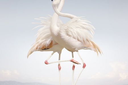 Rustie veroeffentlicht Album Green Language