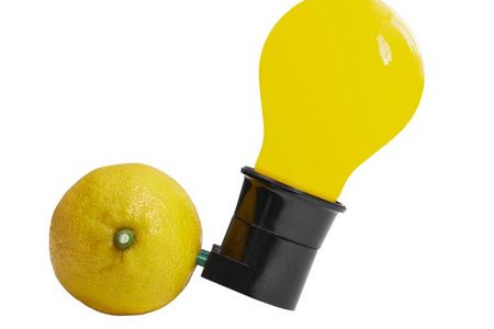 Ausstellung im MNK Make active choices. Kunst und Ökologie: Wie tun?