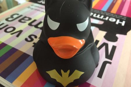 Unsere Nazi-Ente Emma ist immer dabei wenn es um richtige Randale und die AfD geht