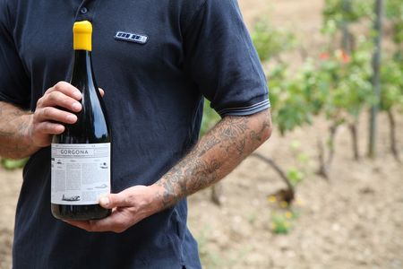 Wein hinter schwedischen Gardinen