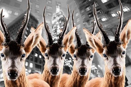 Urban Animals Hirsche, Kunst