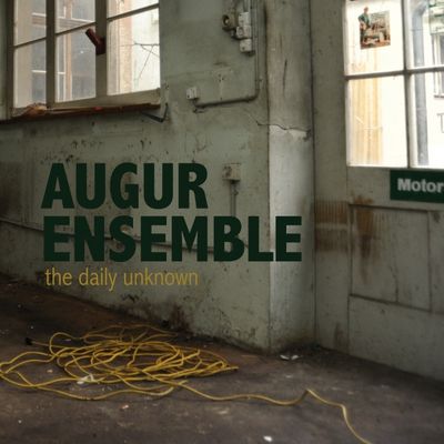 Deuetalbum The Daily Unknown
