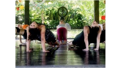 Yogarurlaub und Wellness fuer die Gesundheit Yogarurlaub und Wellness fuer die Gesundheit