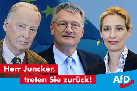 Der Hype um die AfD erinnert an den Hype um die New Economy