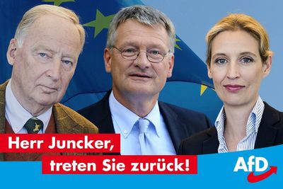 Der Hype um die AfD erinnert an den Hype um die New Economy