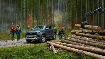Im Gelände: Hier fühlt sich der Amarok wohl