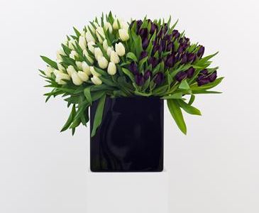 ausstellung leverkusen