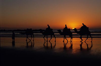 Kamelritt am Strand