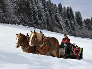 Neue Perspektiven: In der Pferdekutsche zieht die Winterlandschaft ganz gemächlich vorüber Neue Perspektiven: In der Pferdekutsche zieht die Winterlandschaft ganz gemächlich vorüber