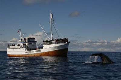 Walsafari mit Boot