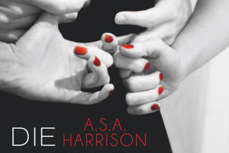 Bestseller aus Amerika: Eine stille Frau