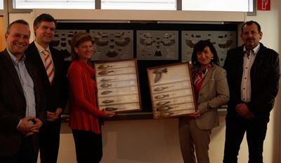 ausstellung innsbruck