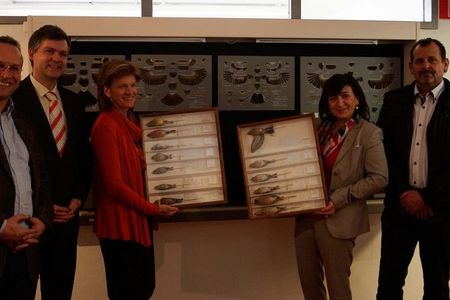 ausstellung innsbruck