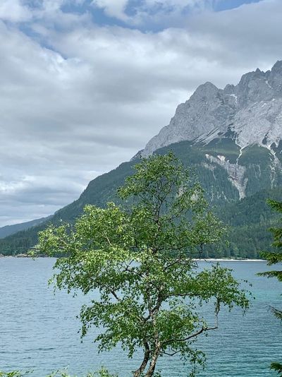 Urlaub am schönen Alpsee in Bayern