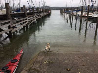 Auch der Bodensee eignet sich hervorragen fuer einen generationsübergreifenden Familienurlaub, natuerlich auch mit Hund