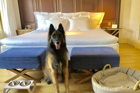 Im Designhotel Cort in Palma/Mallorca fühlen sich auch Vierbeiner wohl und dürfen mit ihren Besitzern in den stylischen Zimmern wohnen